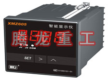 溫度表、數(shù)字顯示儀、濕度表